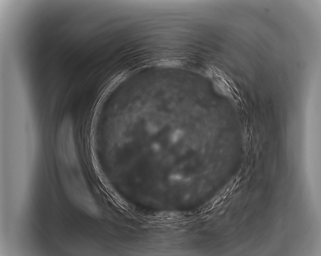 X0000115350145200911101143