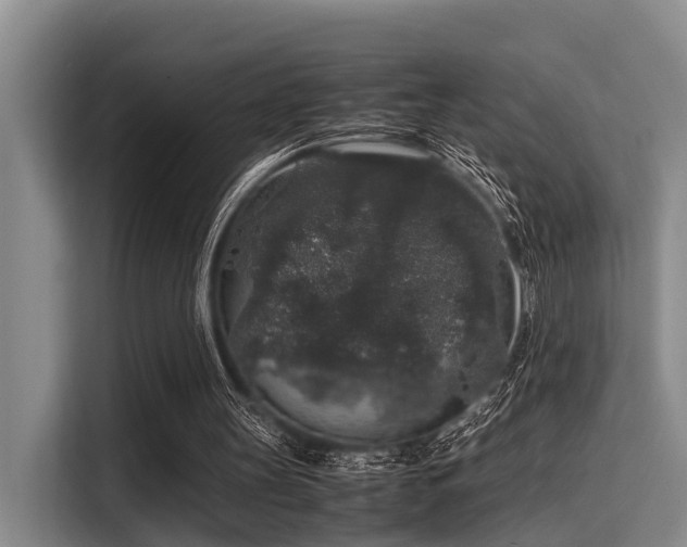 X0000115350147200911101143