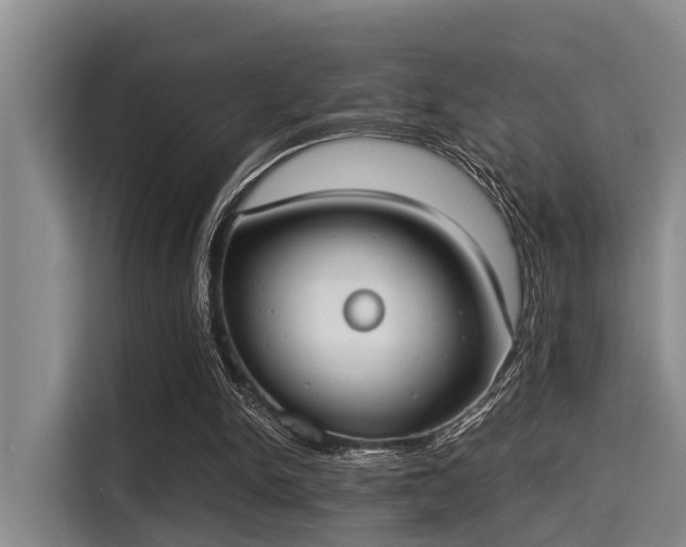 X0000115350150200911101143