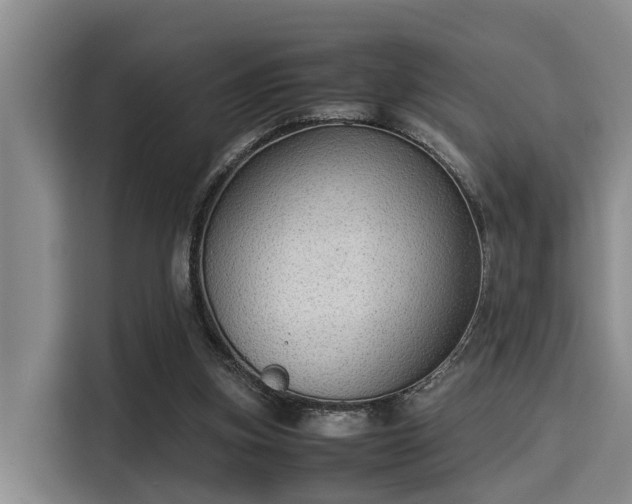 X0000115350155200911101143