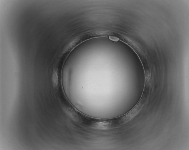 X0000115350158200911101143