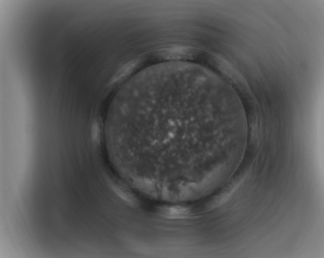 X0000115350165200911101143