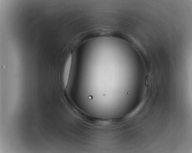 X0000115350170200911101143