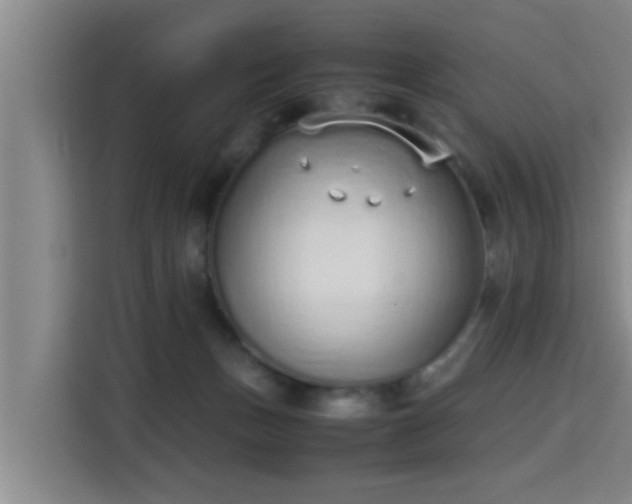 X0000115350175200911101143