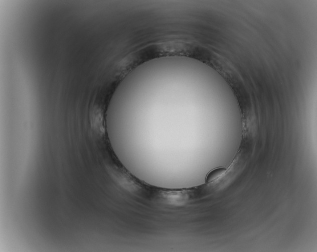 X0000115350187200911101144