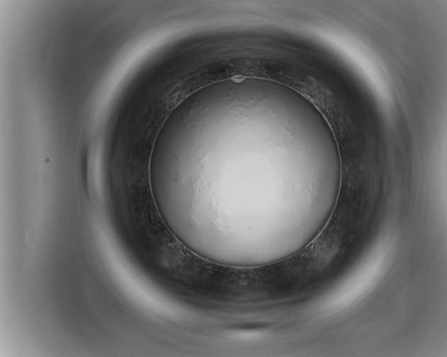 X0000115350189200911101144