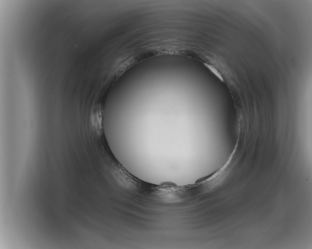 X0000115350190200911101144