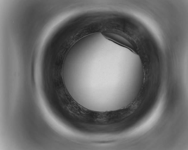 X0000115350191200911101144