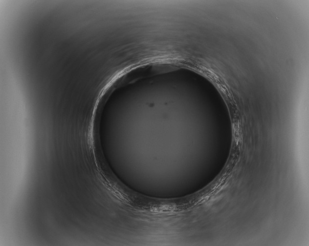 X0000115350196200911101143