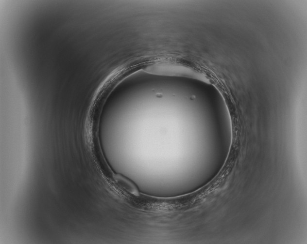 X0000115350197200911101143