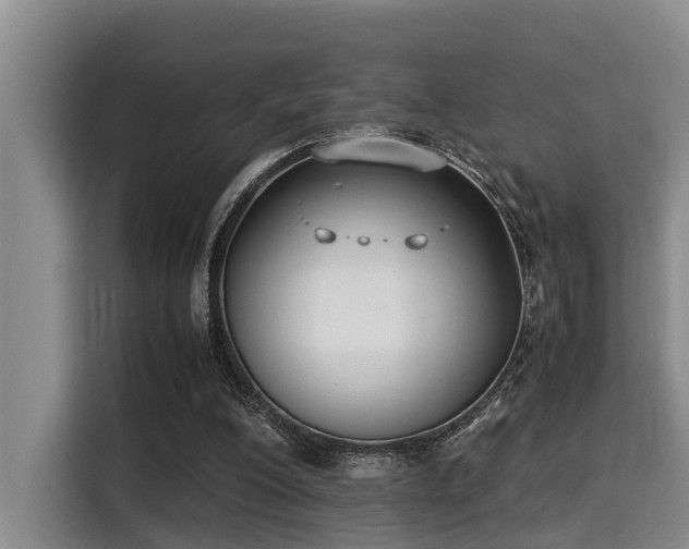 X0000115350200200911101143