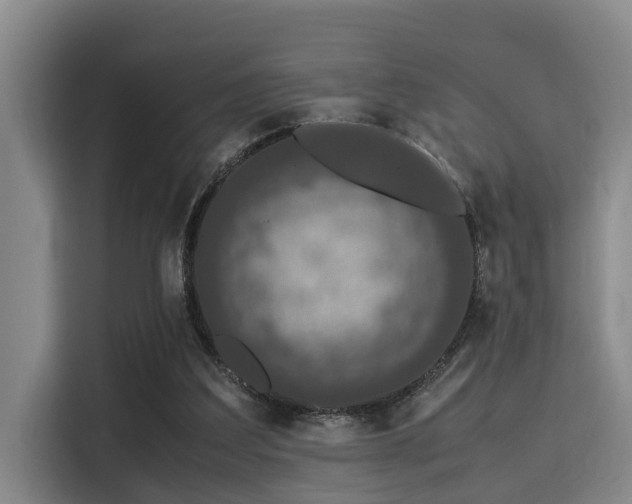 X0000115350203200911101143