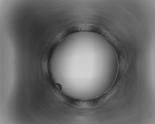 X0000115350209200911101143