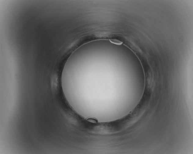 X0000115350211200911101143