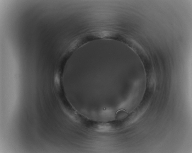 X0000115350214200911101143