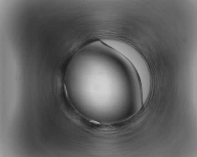 X0000115350215200911101143