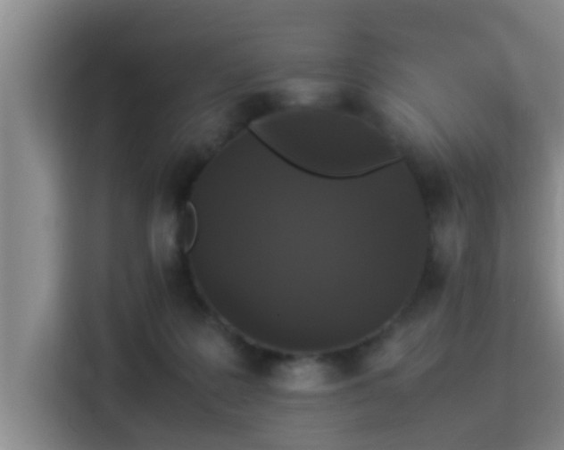 X0000115350219200911101143