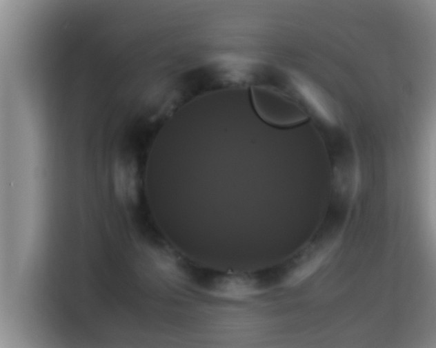 X0000115350223200911101143