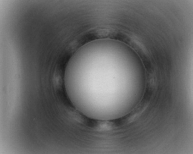 X0000115350226200911101143