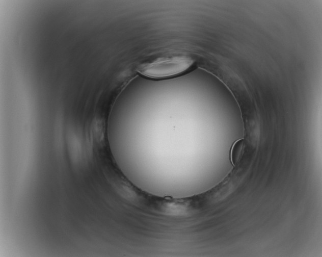 X0000115350232200911101142