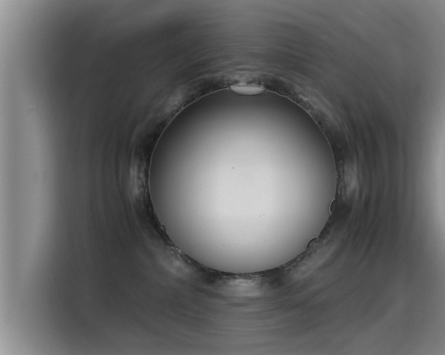 X0000115350236200911101142