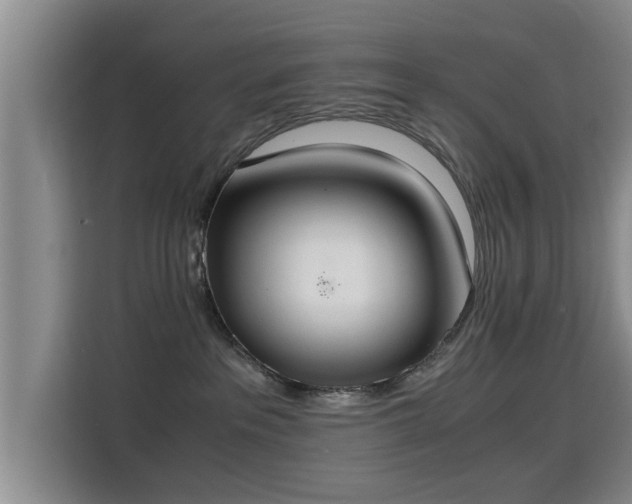 X0000115350237200911101142