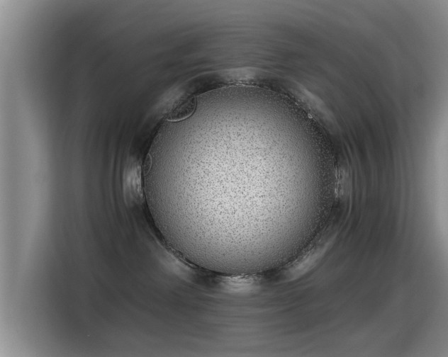 X0000115350238200911101142