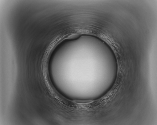 X0000115350241200911101142