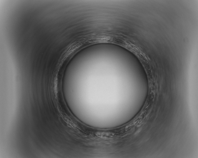 X0000115350242200911101142