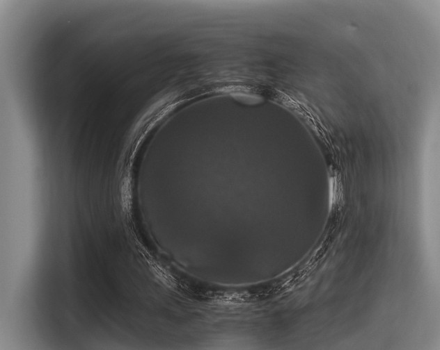 X0000115350243200911101142