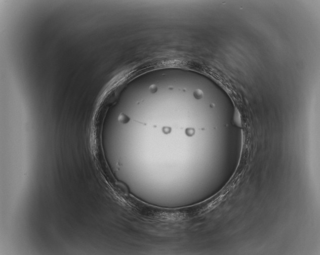 X0000115350245200911101142