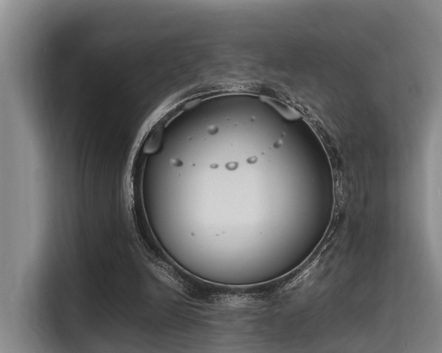 X0000115350246200911101142