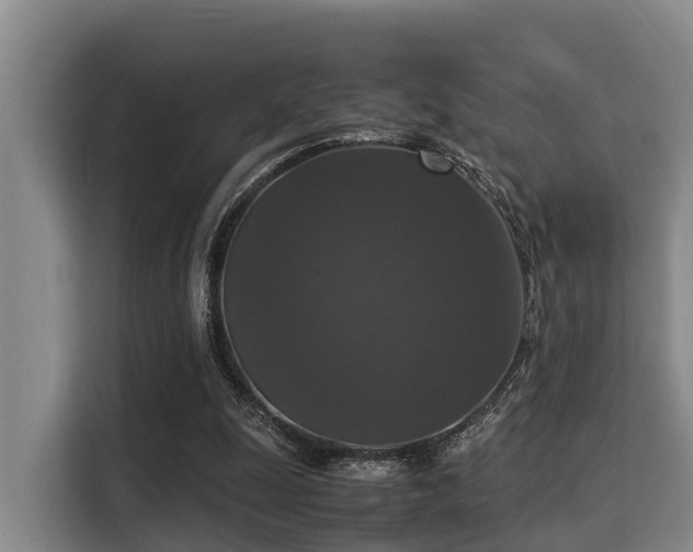 X0000115350247200911101142