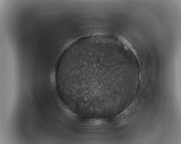 X0000115350249200911101142