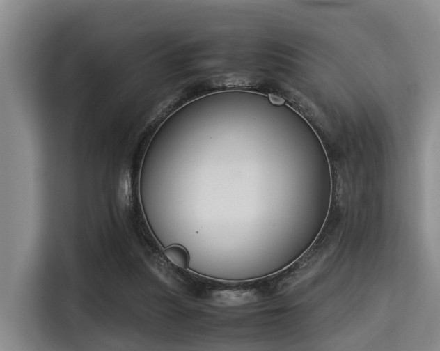 X0000115350251200911101142