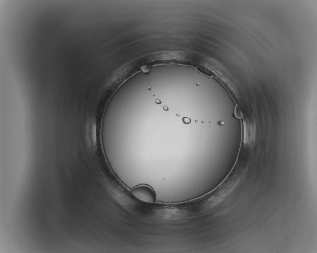 X0000115350253200911101142