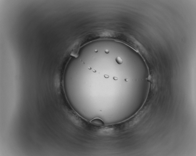 X0000115350257200911101142