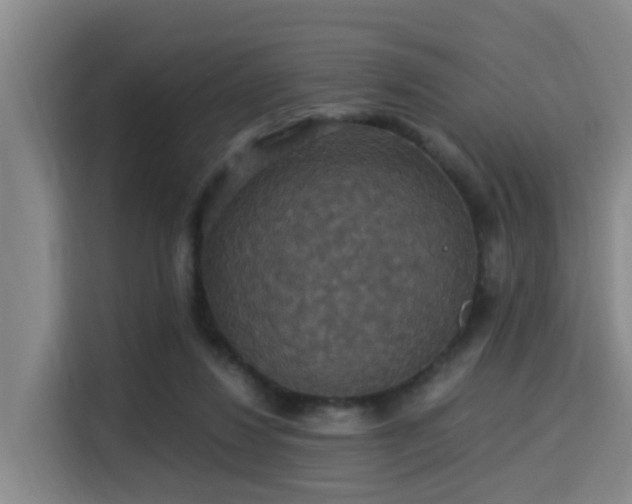 X0000115350260200911101142