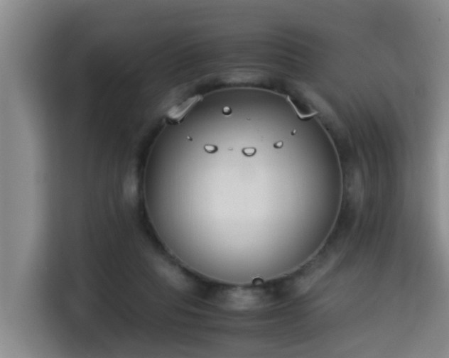X0000115350261200911101142