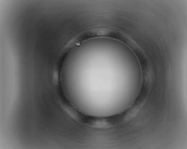 X0000115350262200911101142