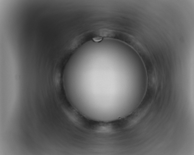 X0000115350263200911101142