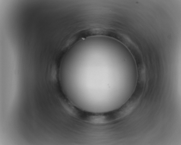 X0000115350266200911101142