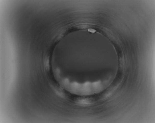 X0000115350267200911101142