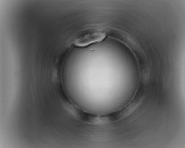 X0000115350270200911101142