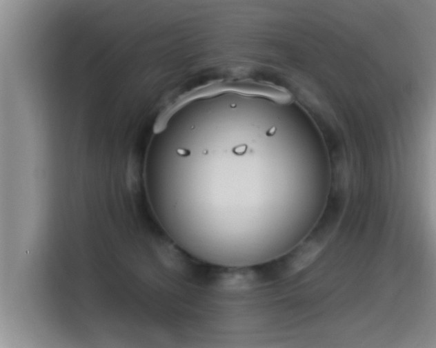 X0000115350274200911101142