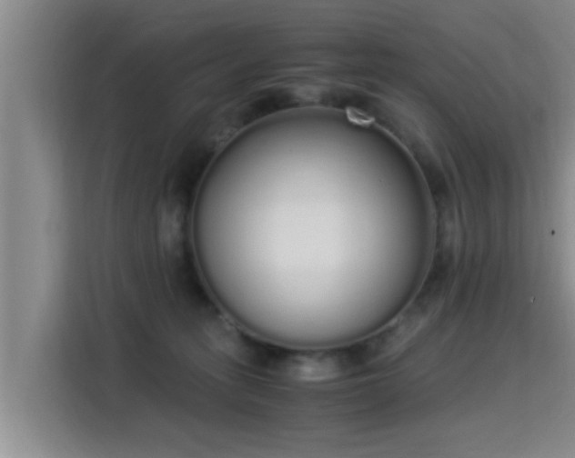 X0000115350275200911101142