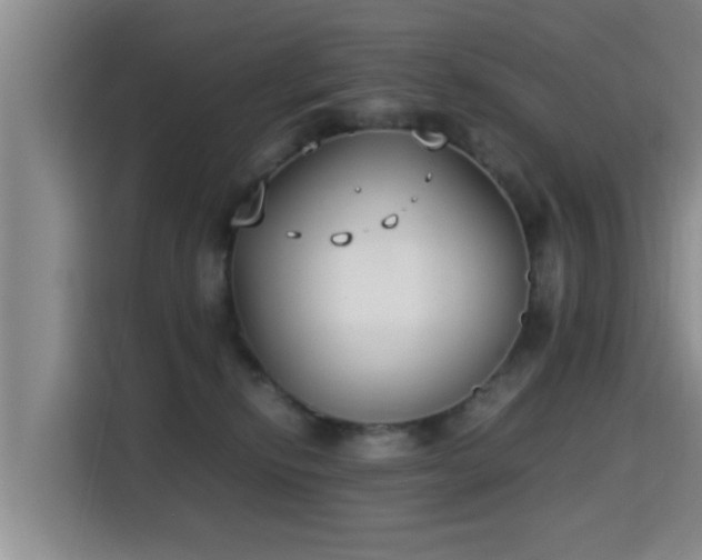 X0000115350278200911101142
