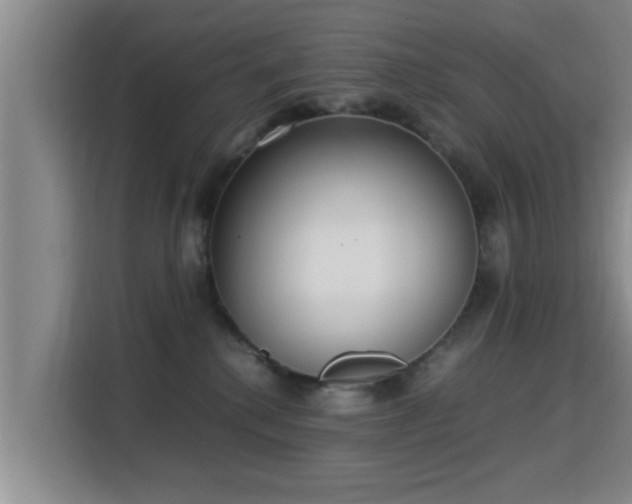 X0000115350280200911101142