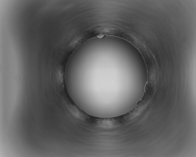 X0000115350282200911101142