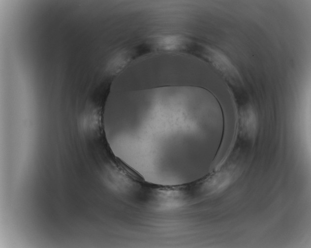 X0000115350284200911101142